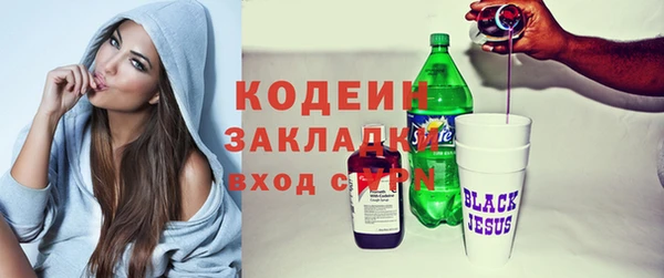 дурь Бородино