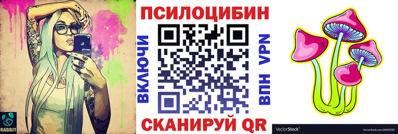 Псилоцибиновые грибы Psilocybine cubensis  Нарткала 